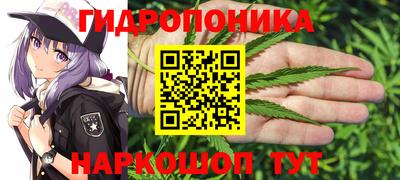 гашишное масло Аргун