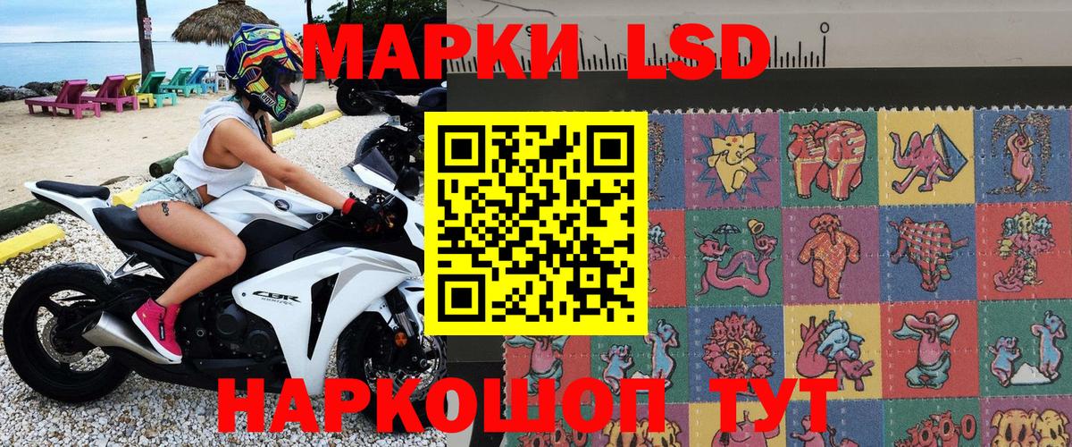 Верхняя Пышма  Марки 25I-NBOMe 1500мкг  Вход с VPN  как найти наркотики  Марки 25I-NBOMe 1500мкг 