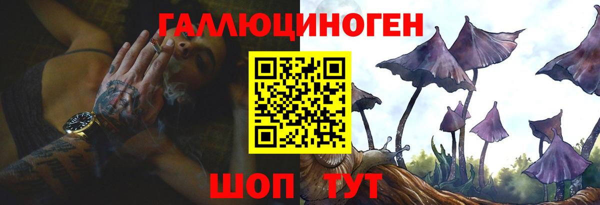 Галлюциногенные грибы ЛСД  Вход с VPN  Верхняя Пышма  продажа наркотиков  Галлюциногенные грибы Psilocybine cubensis 